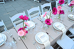 LOVE IN BLOOM AT WISTERIA HALL