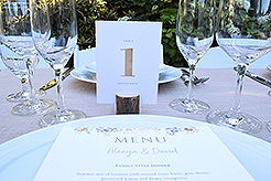 LOVE IN BLOOM AT WISTERIA HALL