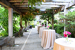 LOVE IN BLOOM AT WISTERIA HALL