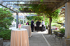 LOVE IN BLOOM AT WISTERIA HALL