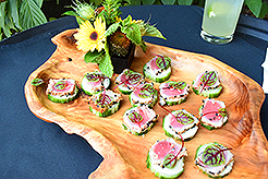 LOVE IN BLOOM AT WISTERIA HALL