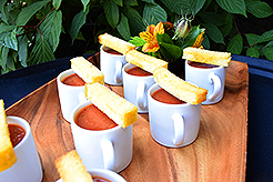 LOVE IN BLOOM AT WISTERIA HALL