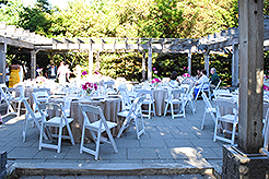 LOVE IN BLOOM AT WISTERIA HALL