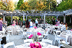 LOVE IN BLOOM AT WISTERIA HALL