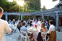 LOVE IN BLOOM AT WISTERIA HALL