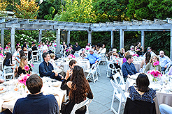 LOVE IN BLOOM AT WISTERIA HALL