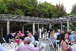 LOVE IN BLOOM AT WISTERIA HALL