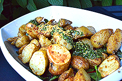 LOVE IN BLOOM AT WISTERIA HALL