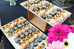 LOVE IN BLOOM AT WISTERIA HALL