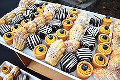 LOVE IN BLOOM AT WISTERIA HALL