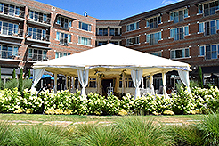 LOVE IN BLOOM AT WOODMARK HOTEL