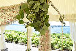 LOVE IN BLOOM AT WOODMARK HOTEL