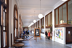 MEET ME AT THE COURT HOUSE