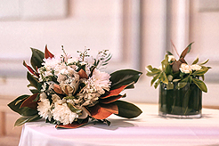 MEET ME AT THE COURT HOUSE