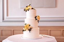 MEET ME AT THE COURT HOUSE