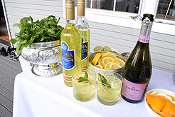 SHOWER THE BRIDE AND GROOM