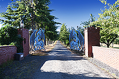 THE SECRET OF SEQUIM