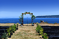 THE SECRET OF SEQUIM