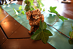 THE SECRET OF SEQUIM