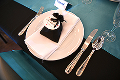 THE SECRET OF SEQUIM