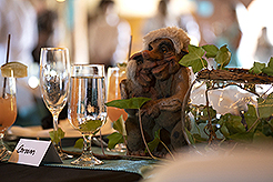 THE SECRET OF SEQUIM