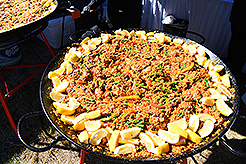 THE SECRET OF SEQUIM