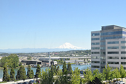 WELCOME TO THE WEDDING