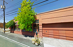 A CELERATION OF LIFE