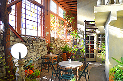 A CELERATION OF LIFE