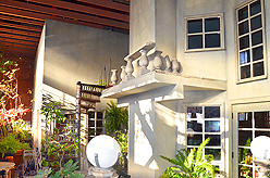 A CELERATION OF LIFE