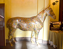 A CELERATION OF LIFE