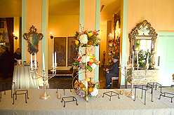 A CELERATION OF LIFE