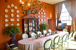 A CELERATION OF LIFE