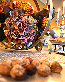 A CELERATION OF LIFE