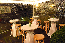 CHRISTMAS CAROL - YEAR 15