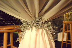 CHRISTMAS CAROL - YEAR 15