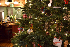 CHRISTMAS CAROL - YEAR 15