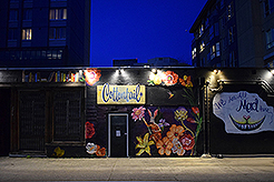 A COTTONTAIL BIRTHDAY