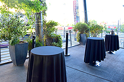 BIRTHDAY...CAUSE IT IS