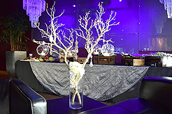 BIRTHDAY...CAUSE IT IS