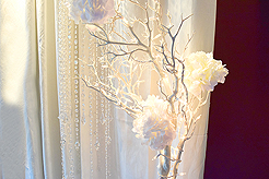 BIRTHDAY...CAUSE IT IS