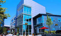 BIRTHDAY...CAUSE IT IS