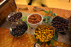 BOHEMIAN GROVE BAT MITZVAH