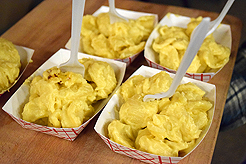 CAMP EVAN BAR MITZVAH