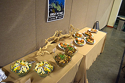 CAMP EVAN BAR MITZVAH