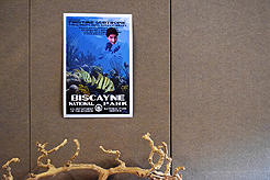 CAMP EVAN BAR MITZVAH