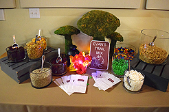 CAMP EVAN BAR MITZVAH