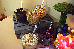 CAMP EVAN BAR MITZVAH