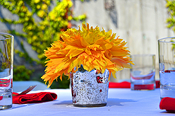 FOR MARRIAGE EQUALITY