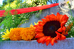 FOR MARRIAGE EQUALITY